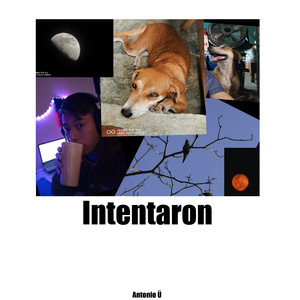 Intentaron (Demo)