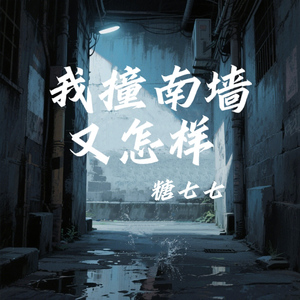 我撞南墙又怎样