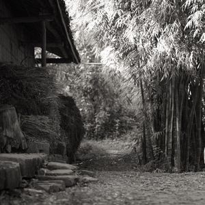 告别（prod by Lyoung）