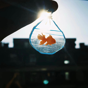 一生的筹码太重而你的灵魂太轻