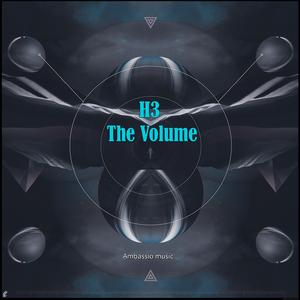 H3 The Volume