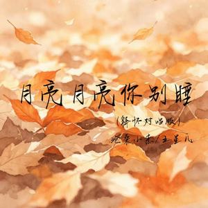 月亮月亮你别睡(释怀对唱版)