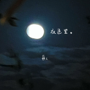 夜色里。