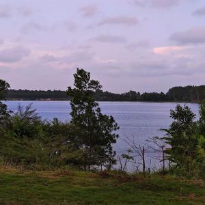 summertime（就不在七夕发）（翻自 cinnamons）