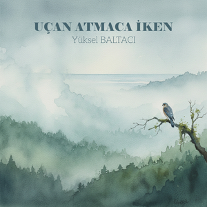 UÇAN ATMACA İKEN