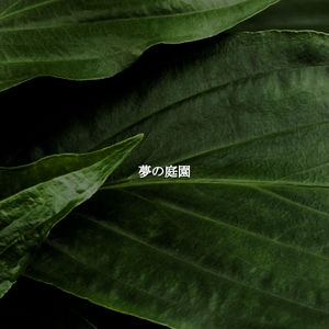 Incredible New Year New Projects