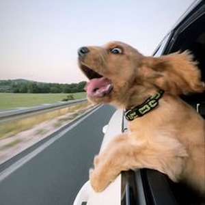 A Thousand Miles (sped up)