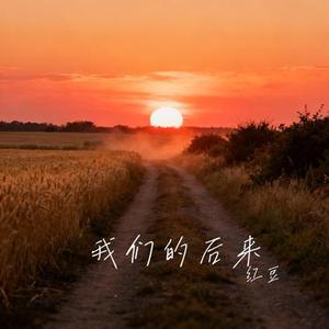 我们的后来 (Cover 王佳音)