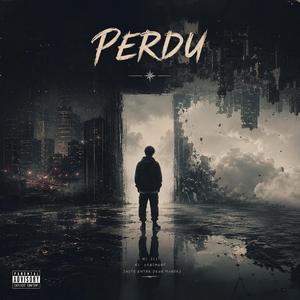 Perdu
