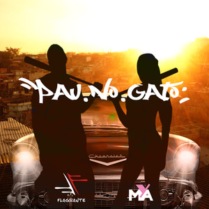 Pau no Gato