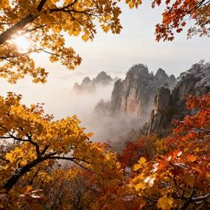 我站在人海中央