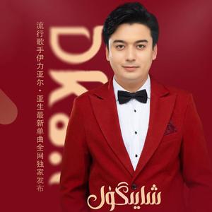 Xayigul-夏依古丽