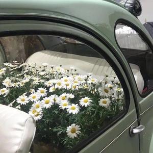 红色 feat.峡谷里的守夜人