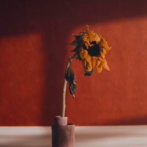 片っぽ（COVER eill）