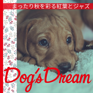 Dance Like a Bossa (KeyDb Ver.)