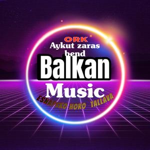 Esnafsko horo Ork Aykutce (zaras)