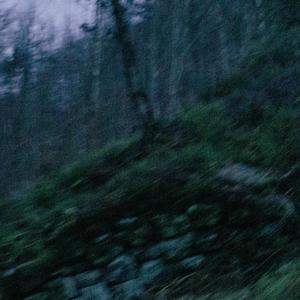 i tried to listen (feat. 7ventus)