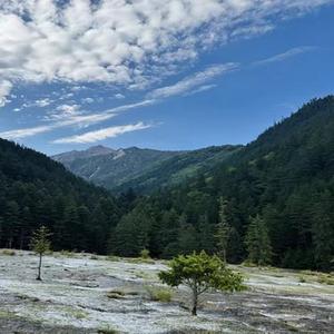 时光啊 (Cover 芊芊龍.)