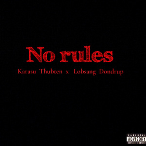 No rules 没嘞规则