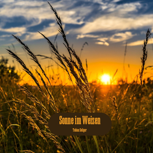 Riss der Veraenderung