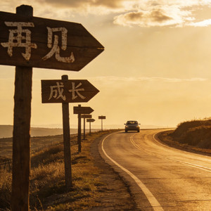 成长的路标