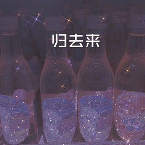 后继者 (DJ电音版)