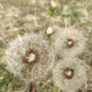 理想三旬（cover陈鸿宇）