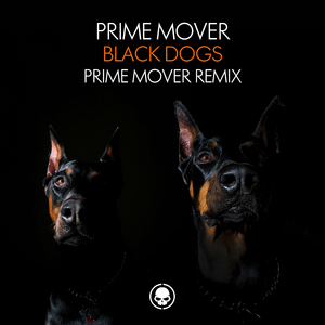 Black Dogs (Prime Mover Remix)