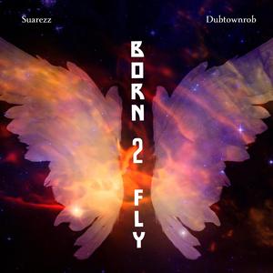 Born 2 Fly (feat. Dubtownrob)
