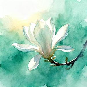 花笺语