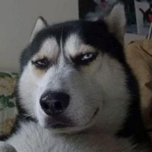 毛华锋-奇迹再现（君吟 remix）