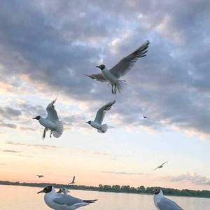 Linkin-Linkin Park-In The End(1)（山河一片红 / L.Chen remix）