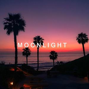 XXXTENTACION-Moonlight（VaSka / 黎轩 / 品味 remix）