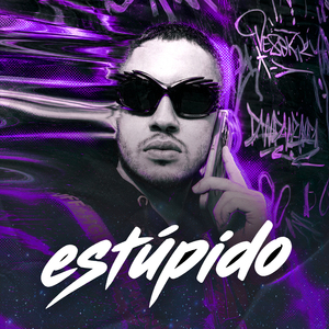 estúpido