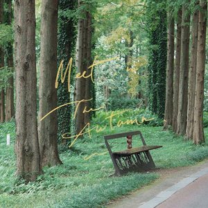 森林之子中文填词(cover YooA)