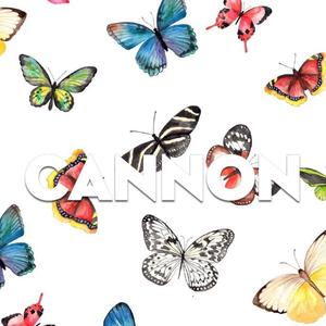 【FREE BEAT】‘illusion’（Prod.CANNON）