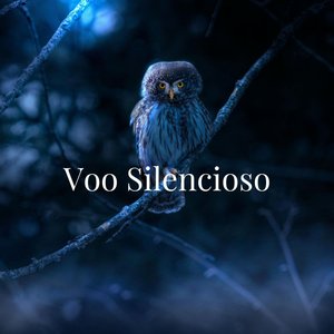 Voo Silencioso