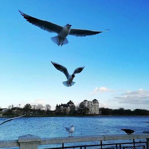 祖国慈祥的母亲（小眯）