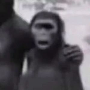 请辞书(Prod.Gr33nart Beats)