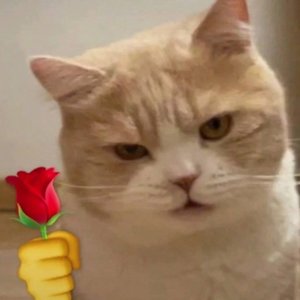 云上梦（prod by Red killer）