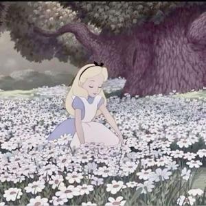 AFTER THE AFTERPARTY