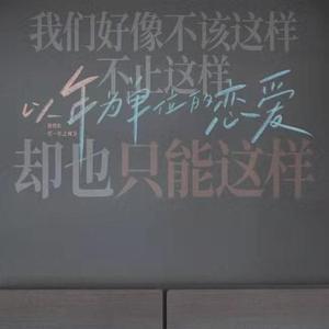 以年为单位的爱情（《以年为单位的恋爱》）