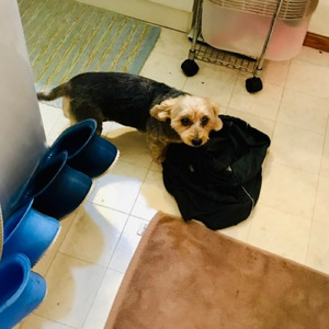 誰が決めたものでもないしさ 幻想との戦い