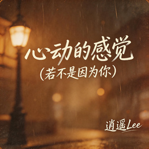 心动的感觉（若不是因为你）