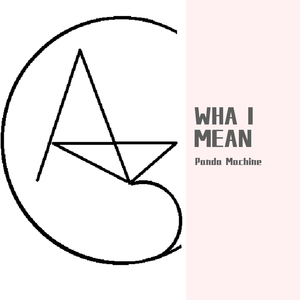 WHA I MEAN