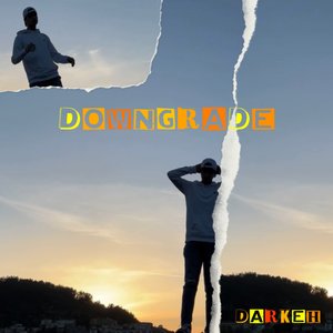 Downgrade