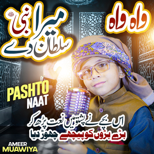 Wah Wah Mera Nabi Sultan De