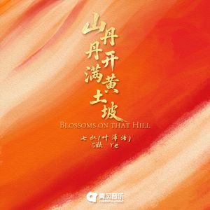 山丹丹开满黄土坡