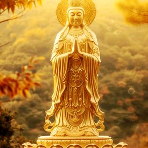 莲心祈愿