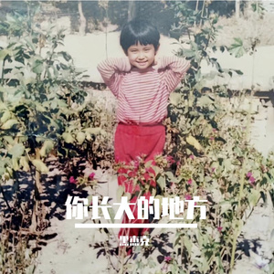 你长大的地方